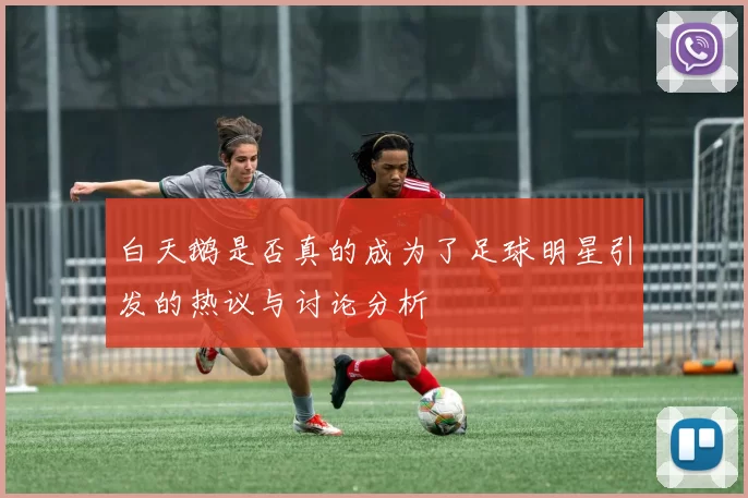 白天鹅是否真的成为了足球明星引发的热议与讨论分析