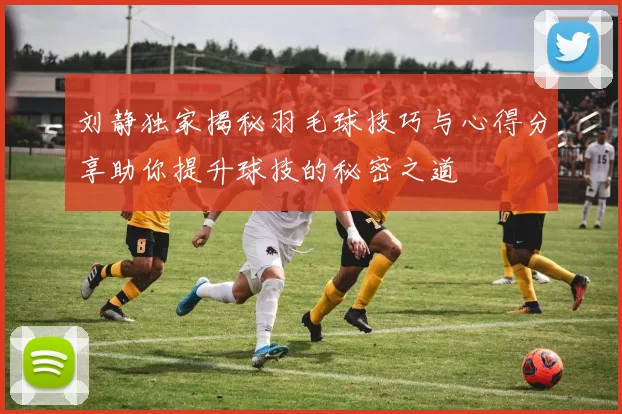 刘静独家揭秘羽毛球技巧与心得分享助你提升球技的秘密之道