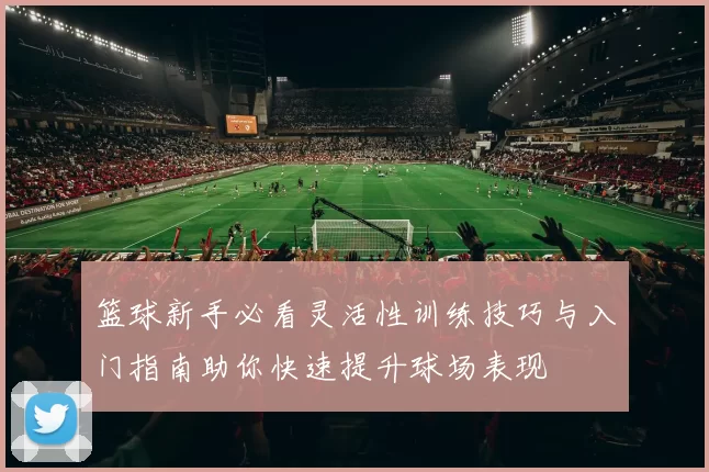 篮球新手必看灵活性训练技巧与入门指南助你快速提升球场表现