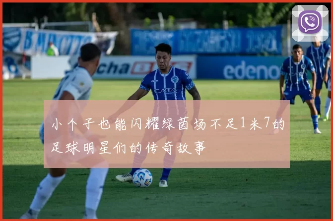 小个子也能闪耀绿茵场不足1米7的足球明星们的传奇故事