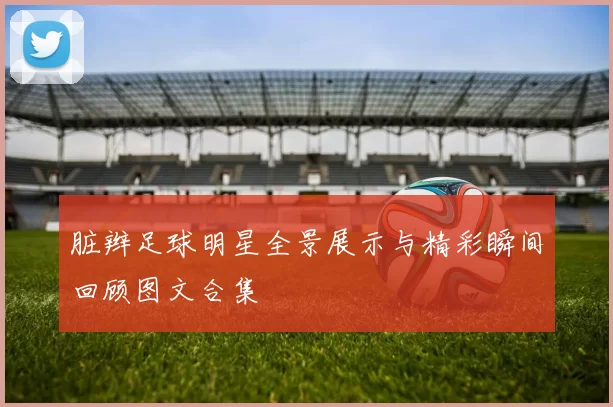 脏辫足球明星全景展示与精彩瞬间回顾图文合集